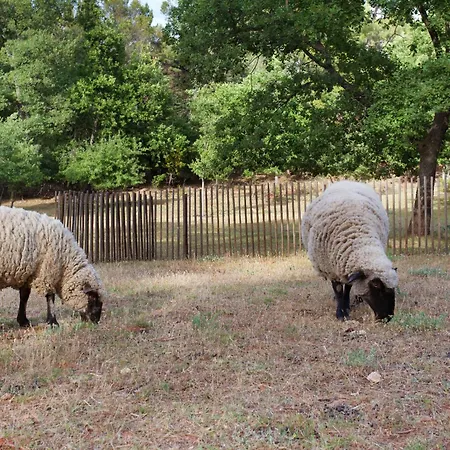 Domaine Les Petites Vaines *