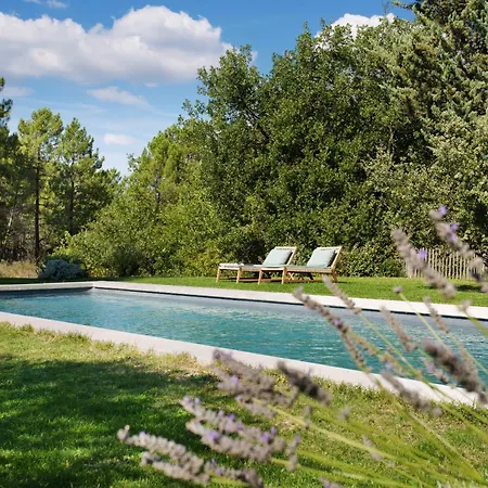 Domaine Les Petites Vaines * Goult